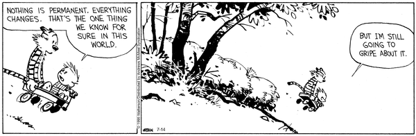 Lassi & Leevi 14.7.2025