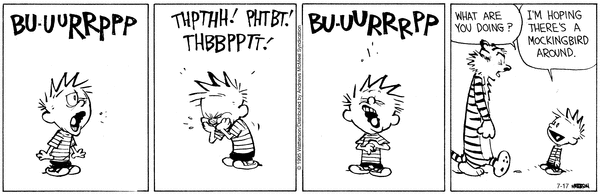 Lassi & Leevi 17.7.2025