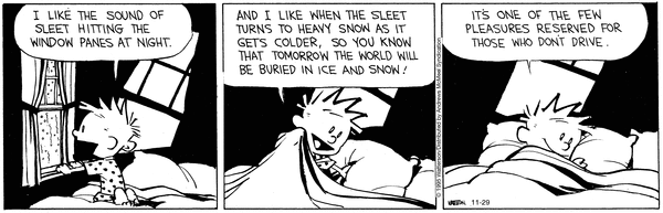 Lassi & Leevi 29.11.2025