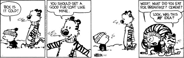 Lassi & Leevi 2.3.2026