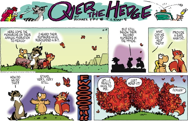 Over the Hedge 9.10.2016