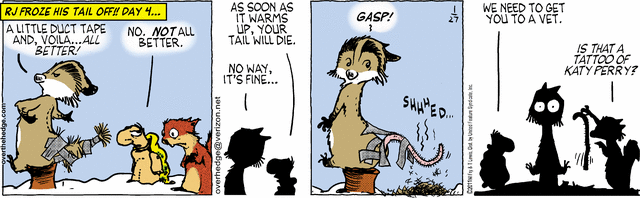 Over the Hedge 27.1.2011