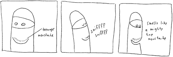 White Ninja 15.3.2006