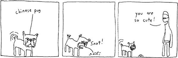 White Ninja 15.3.2006