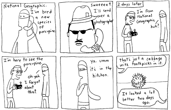 White Ninja 15.3.2006